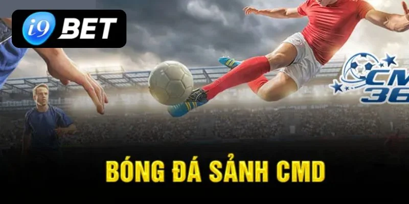 cá cược thể thao I9BET